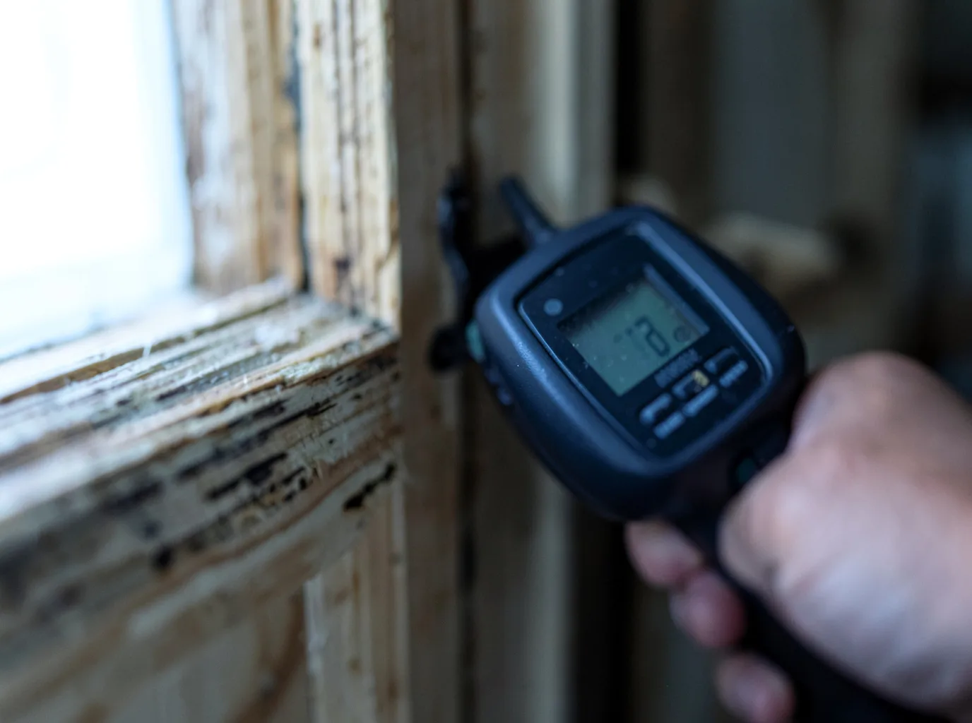 Moisture Inspection And Documentation in Franklin, IN